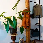 Kerkermeister Bed and Breakfast 3*