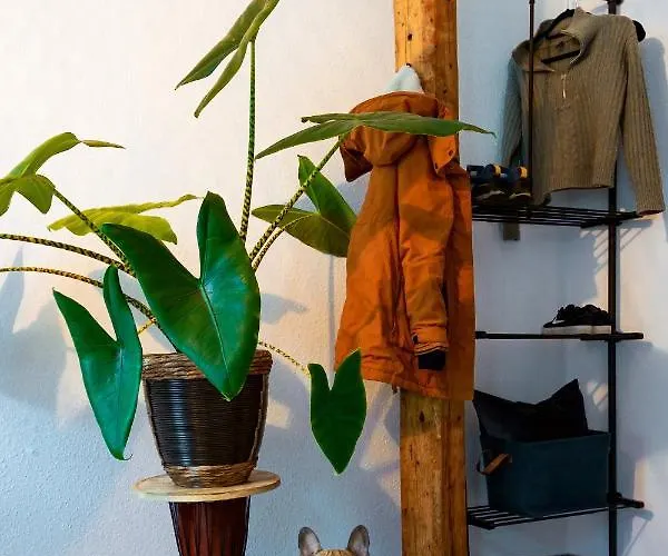 Kerkermeister Frühstückspension 3*